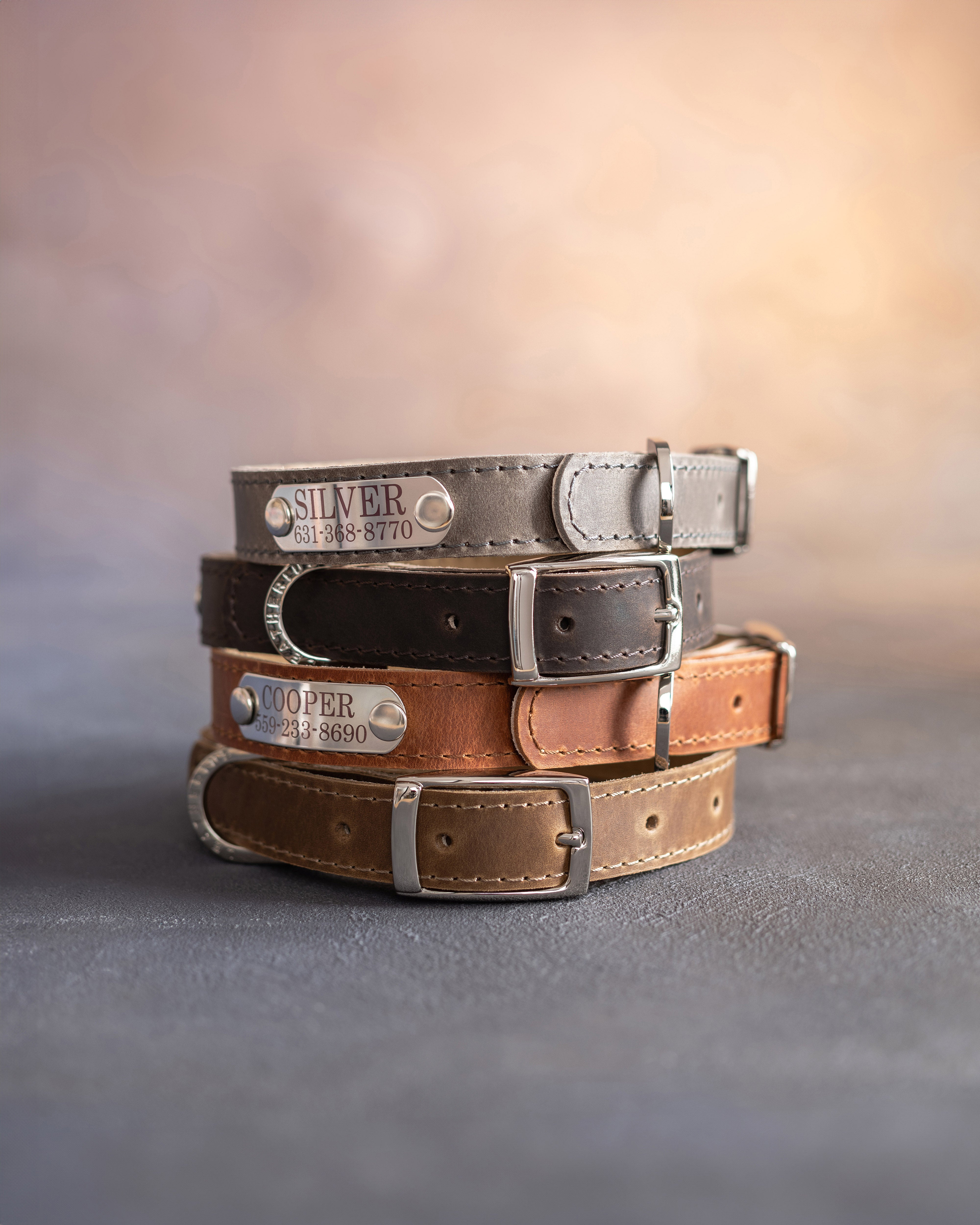 Dog collar with a name plate