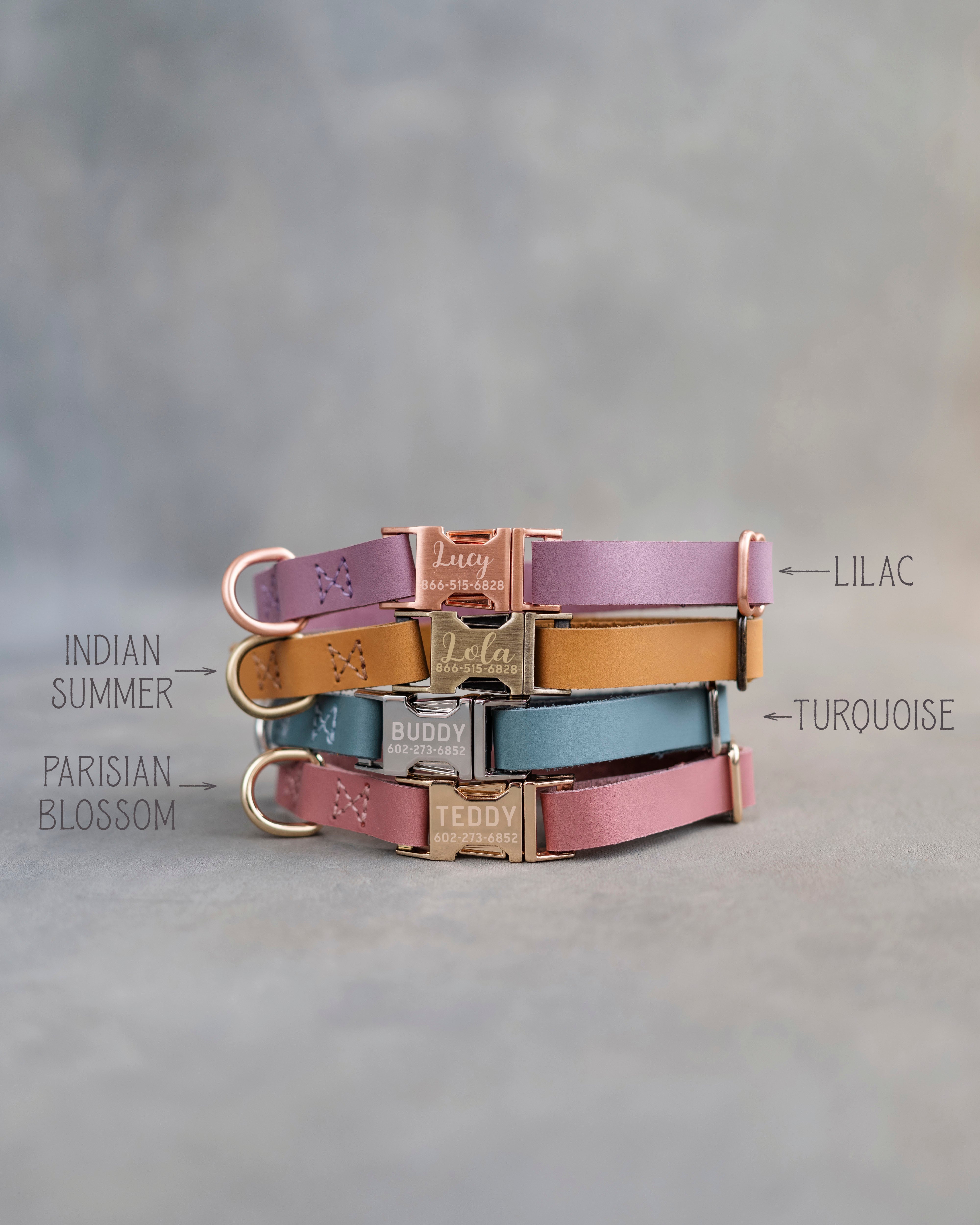 Personalized leather dog collar for small dogs