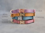 Personalized leather puppy collar
