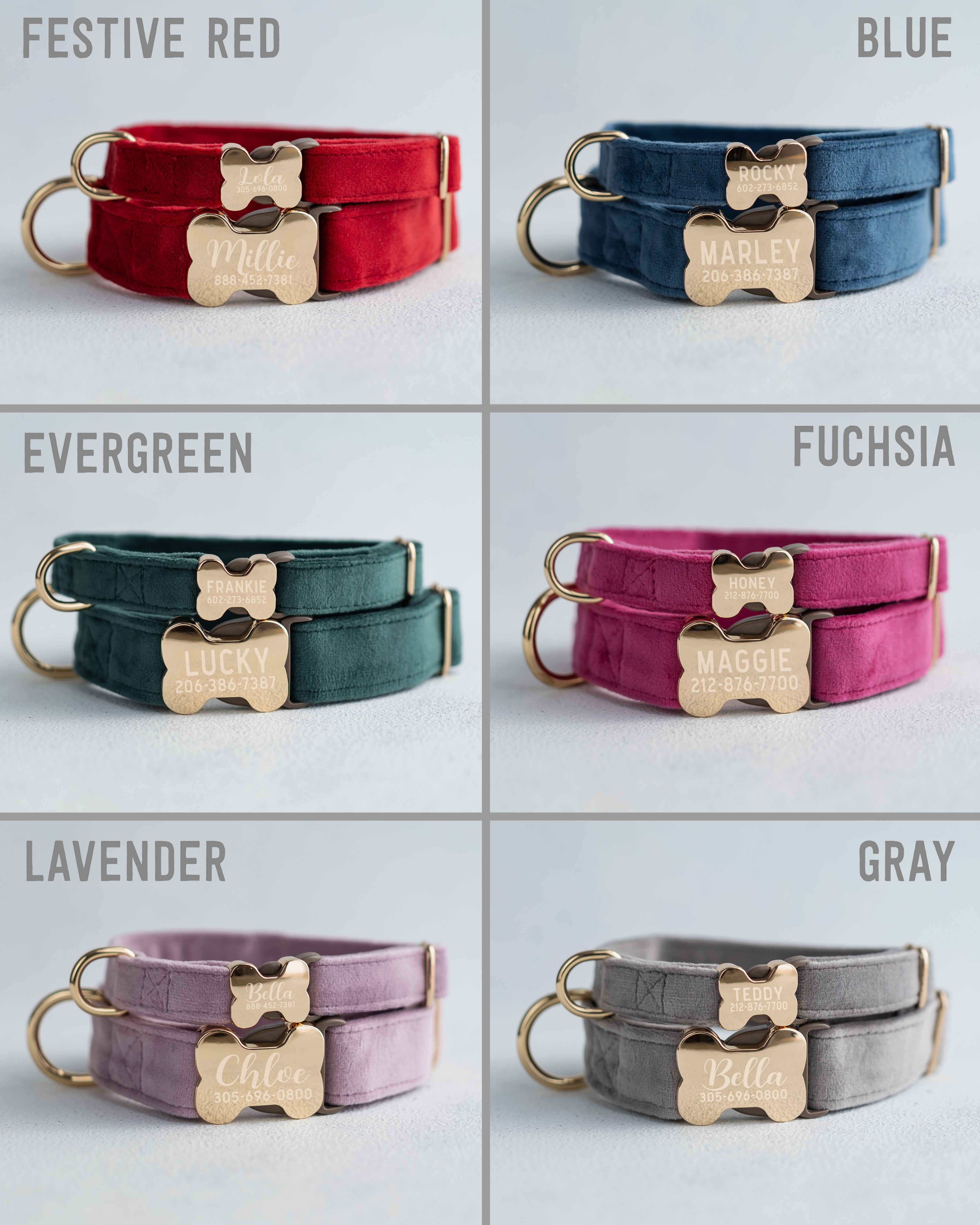 Velvet Dog Collar With Bone-Shaped Buckle