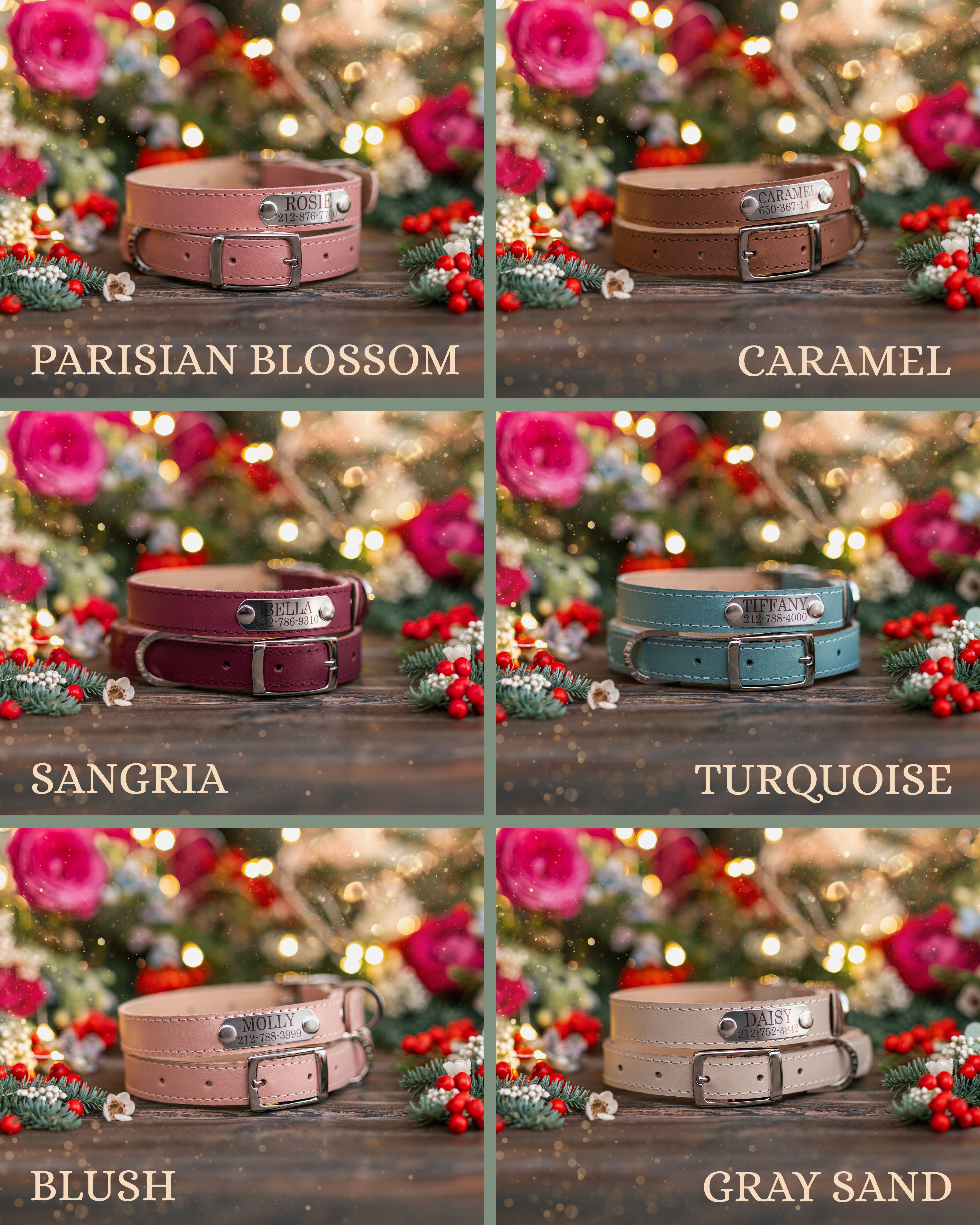 Dog collar with a name plate