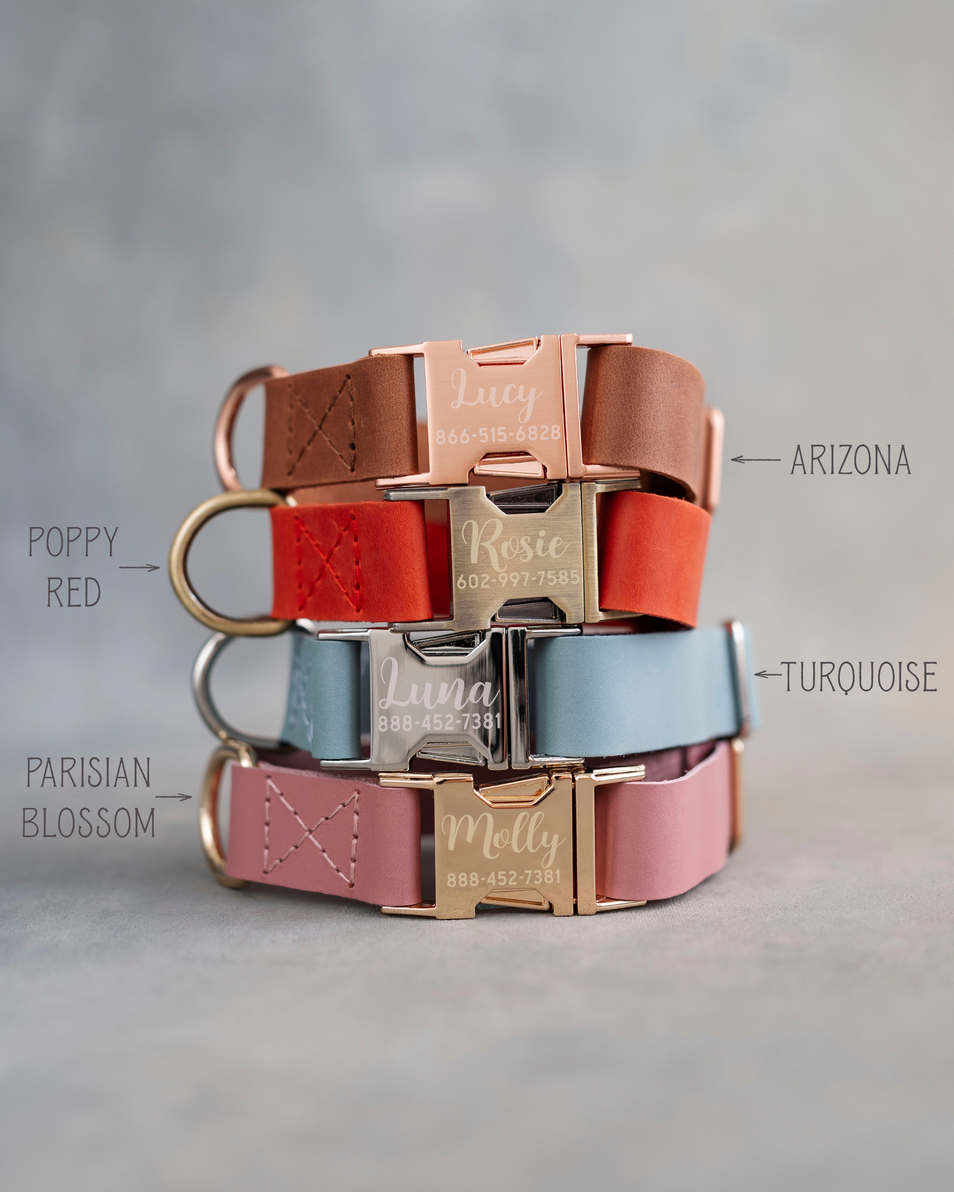 Personalized leather dog collar for small dogs