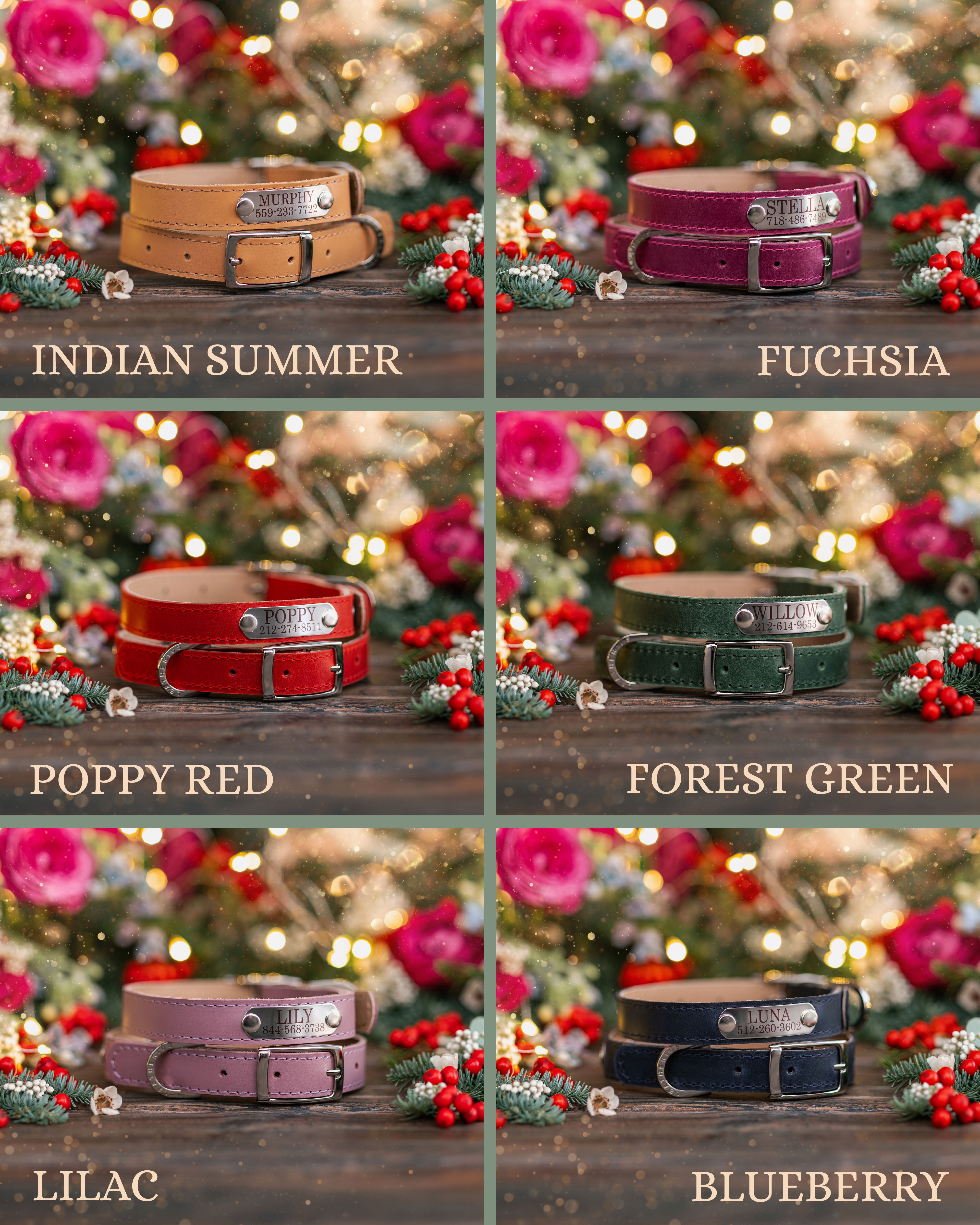 Dog collar with a name plate