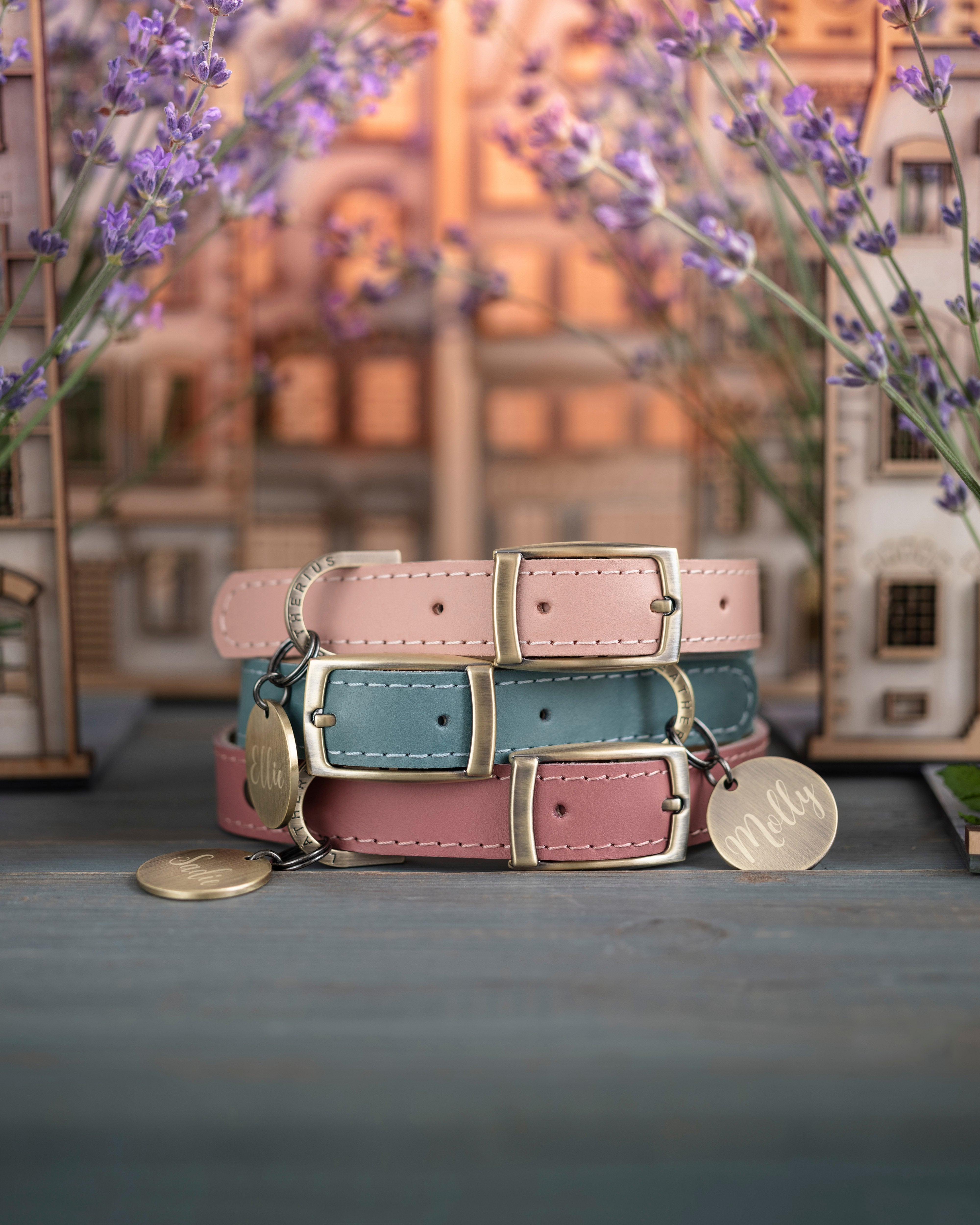 Unique personalized leather dog collar