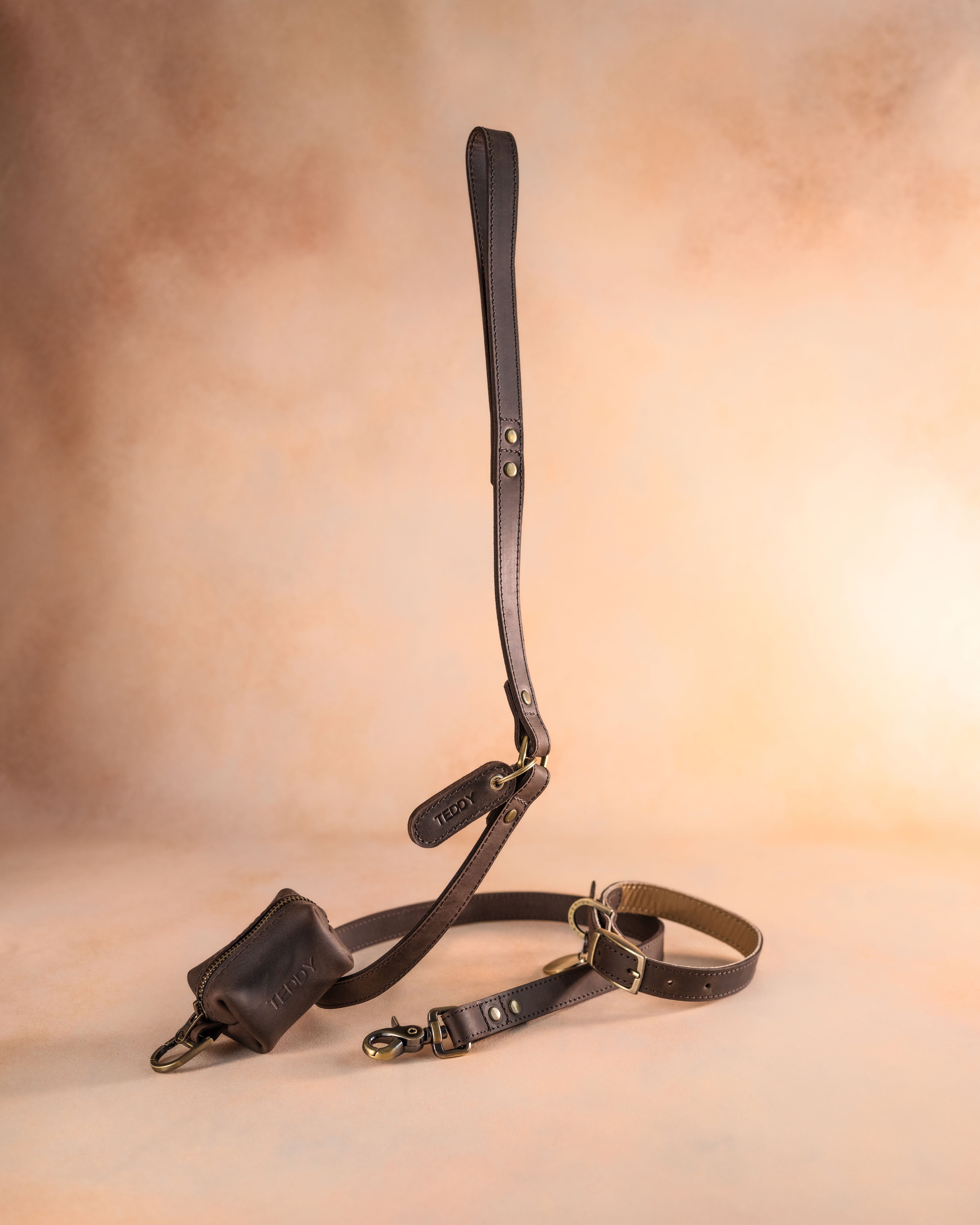 Personalized Leather Dog Collar with classic belt buckle