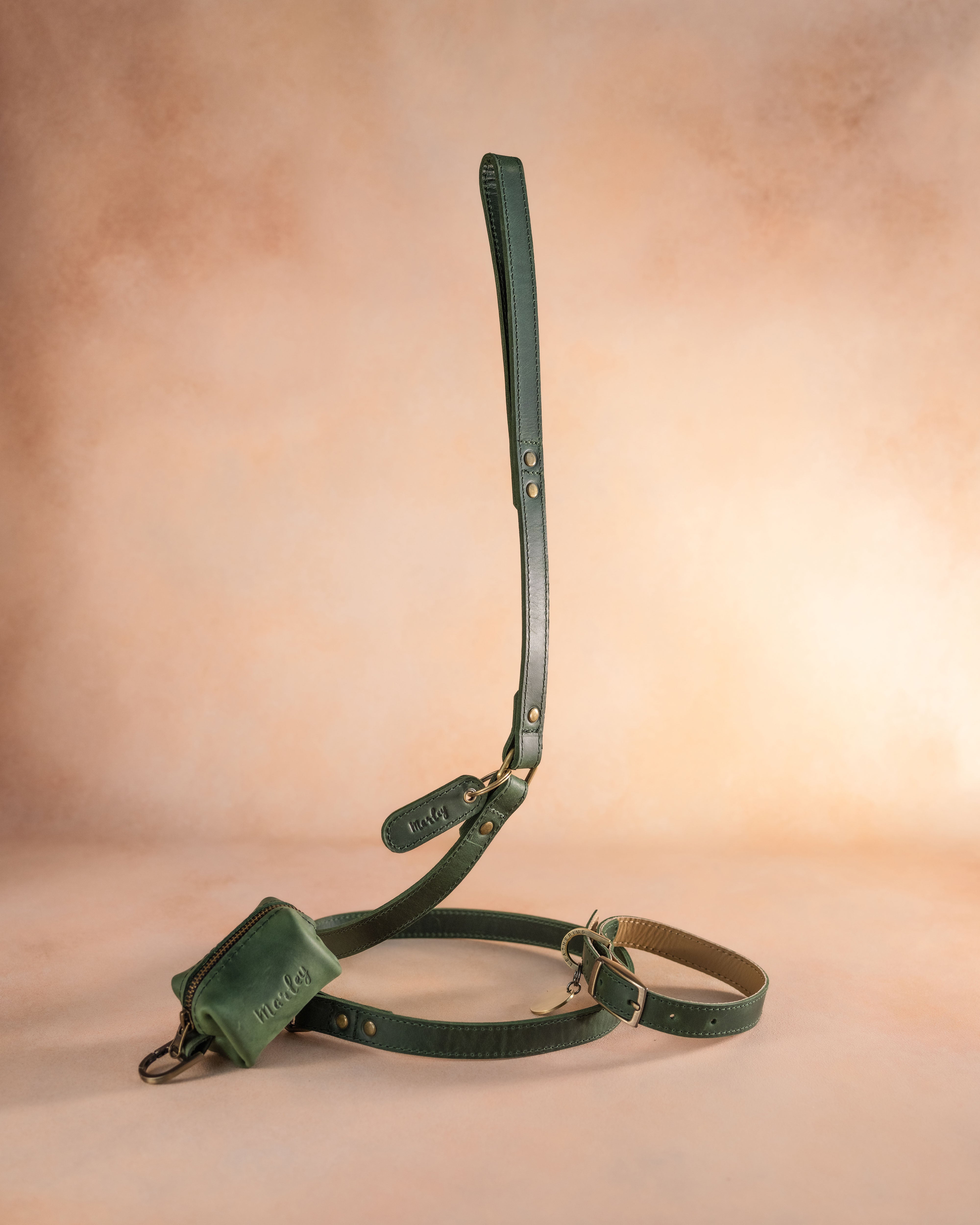 Dog Collar in Forest Green leather with classy pin buckle