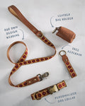 Webbing dog collar floral brown