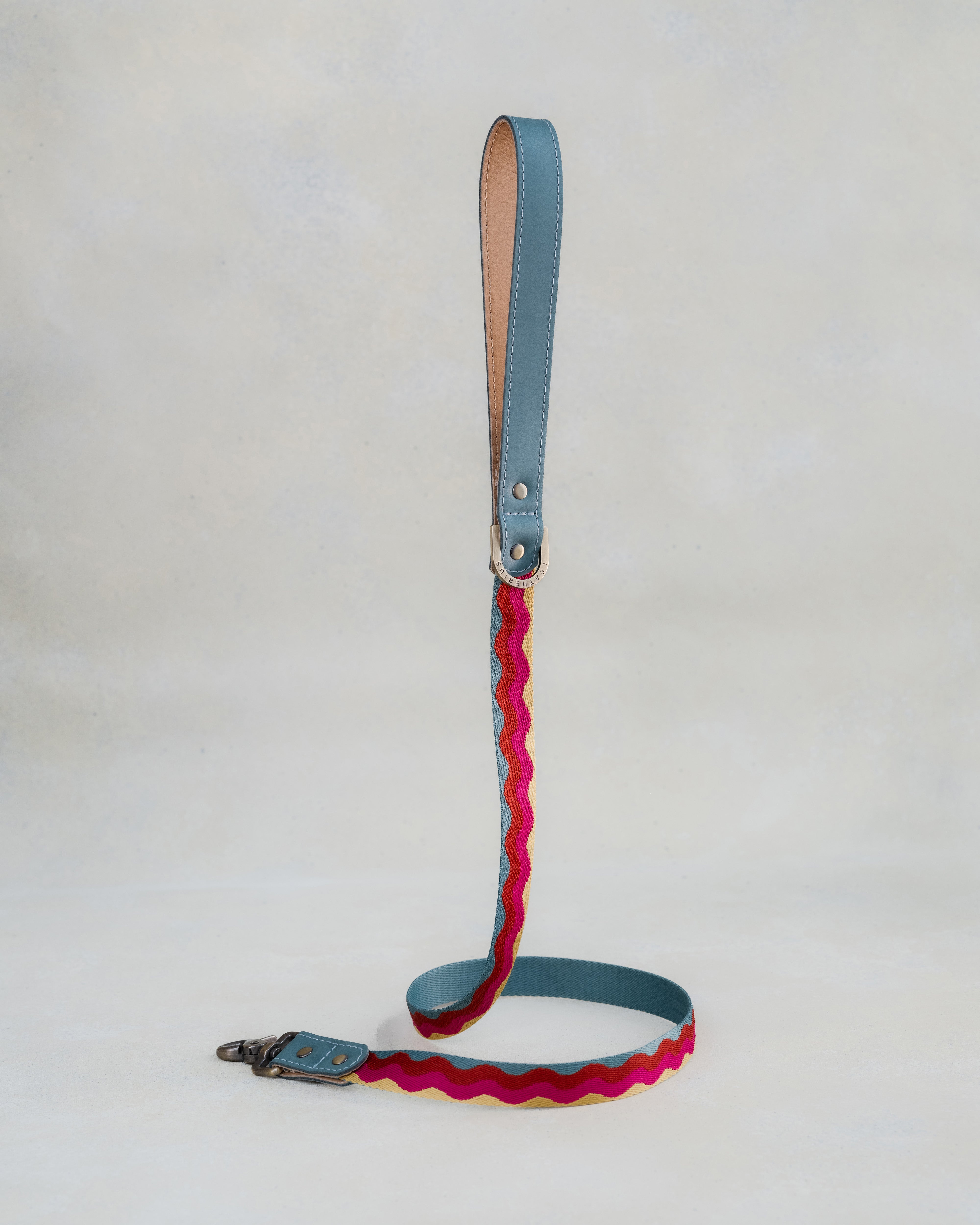 Webbing dog collar summer color