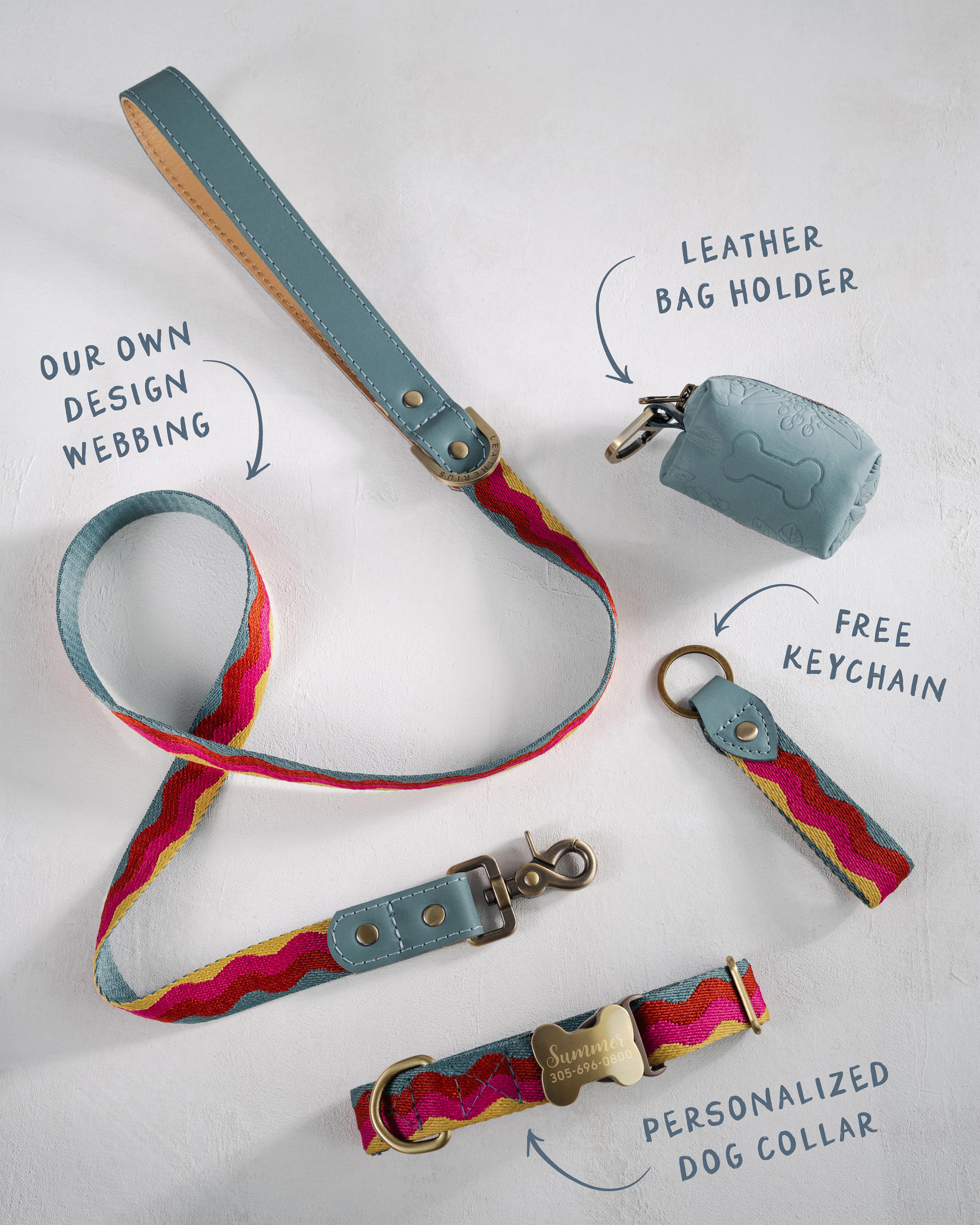 Webbing dog collar summer color
