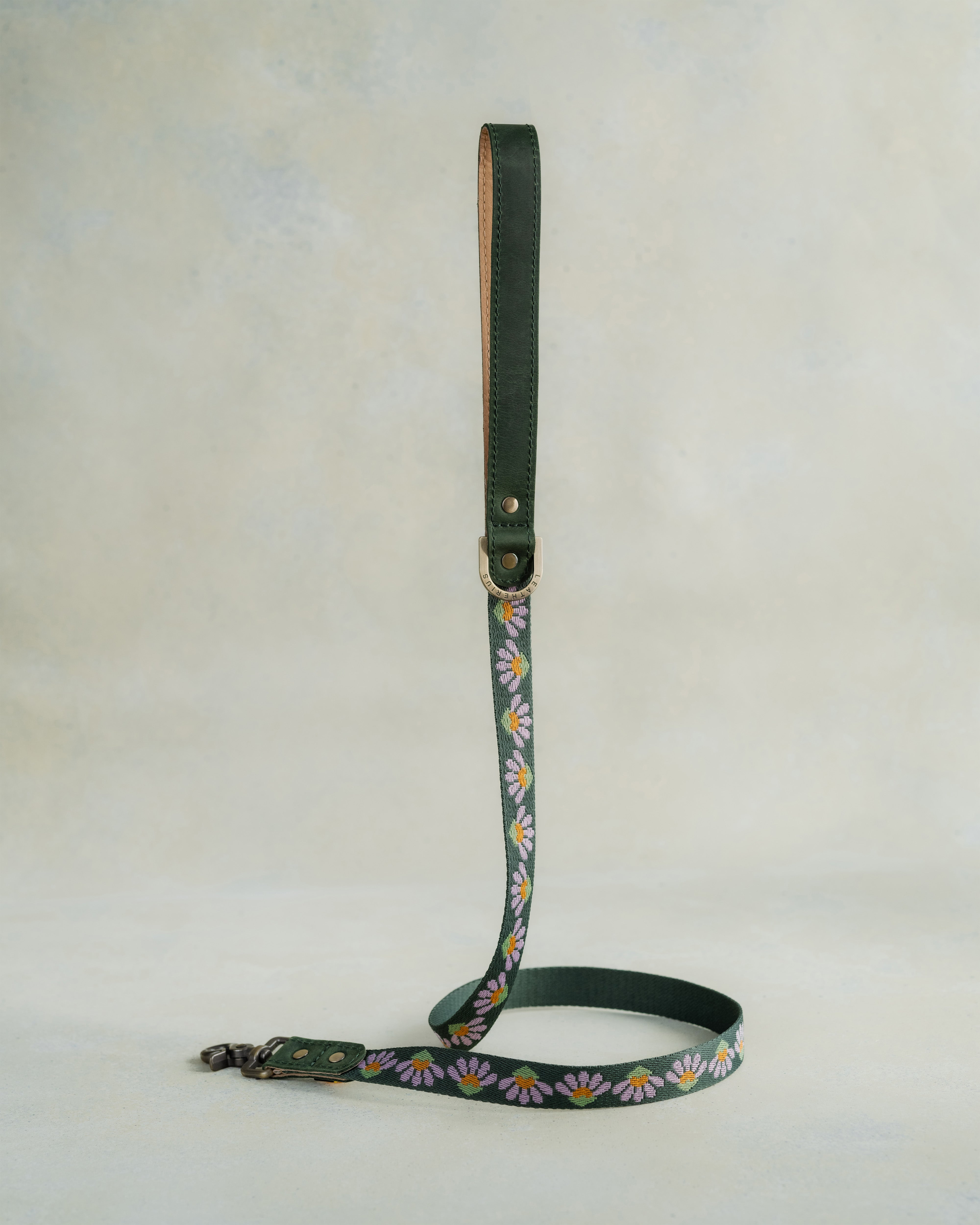 Webbing dog collar green floral