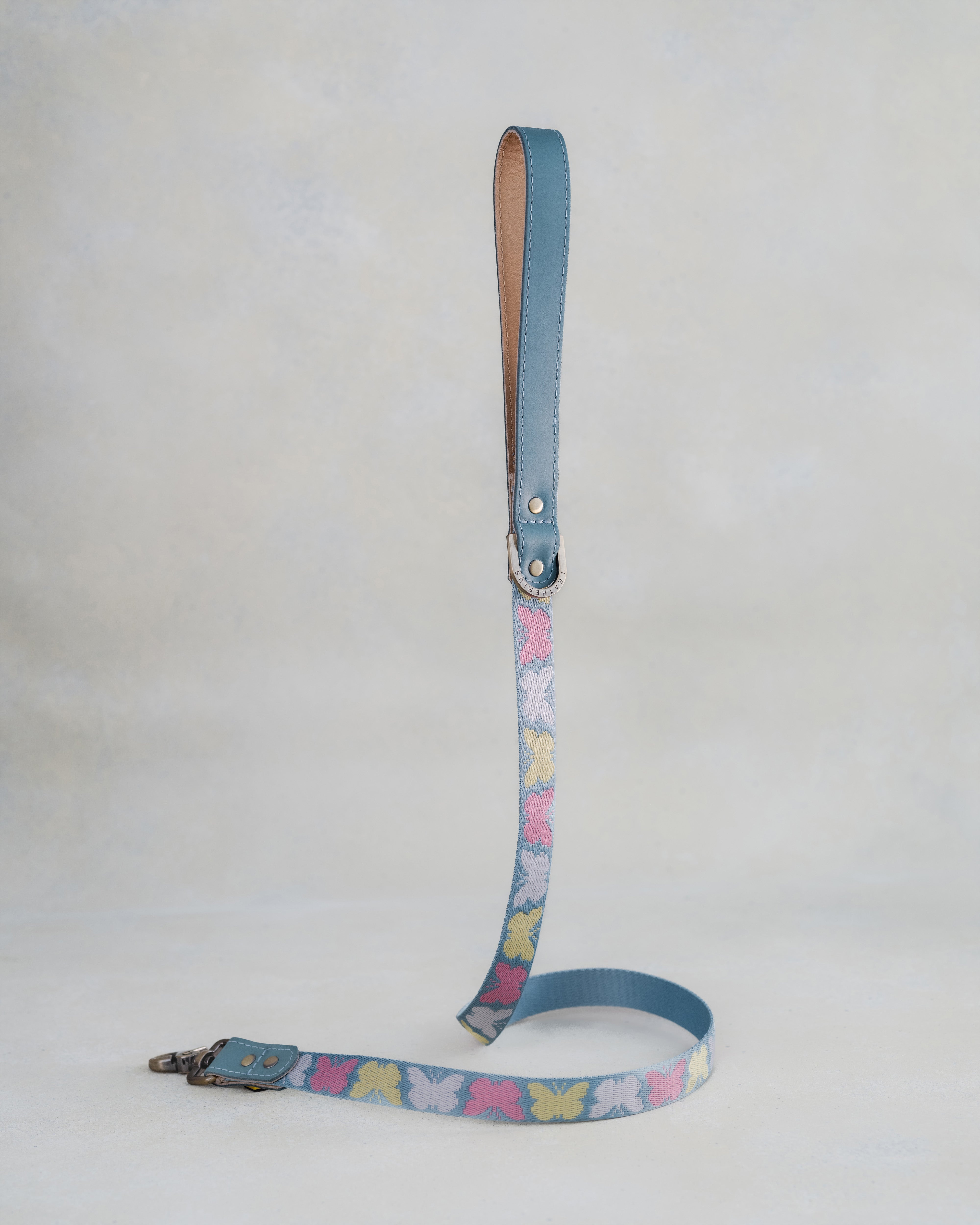Webbing dog collar butterfly blue