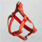 Red leather dog harness in Poppy Red with adjustable straps