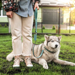 Leather dog leash used to walk a husky in a green backyard