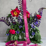 Personalized Leather Dog Leash with hand-finished detailing
