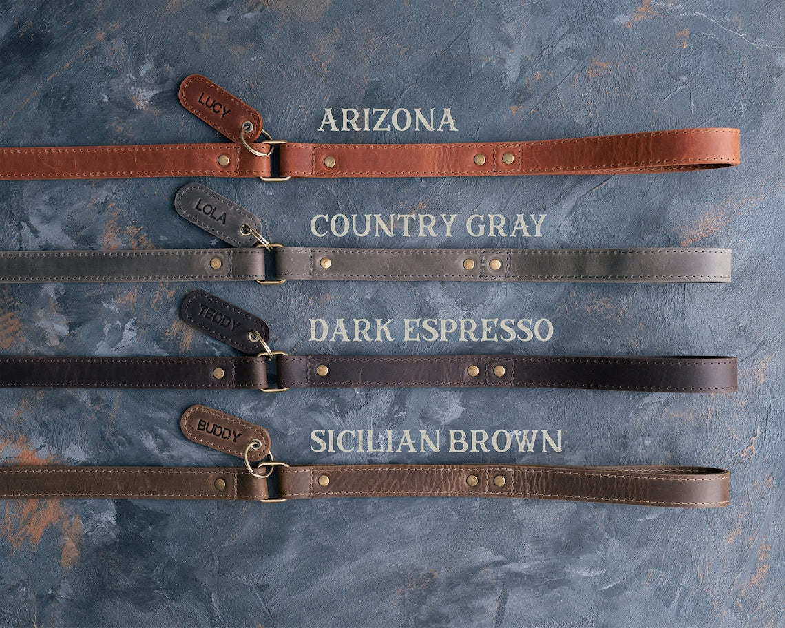 Leather Dog Leash