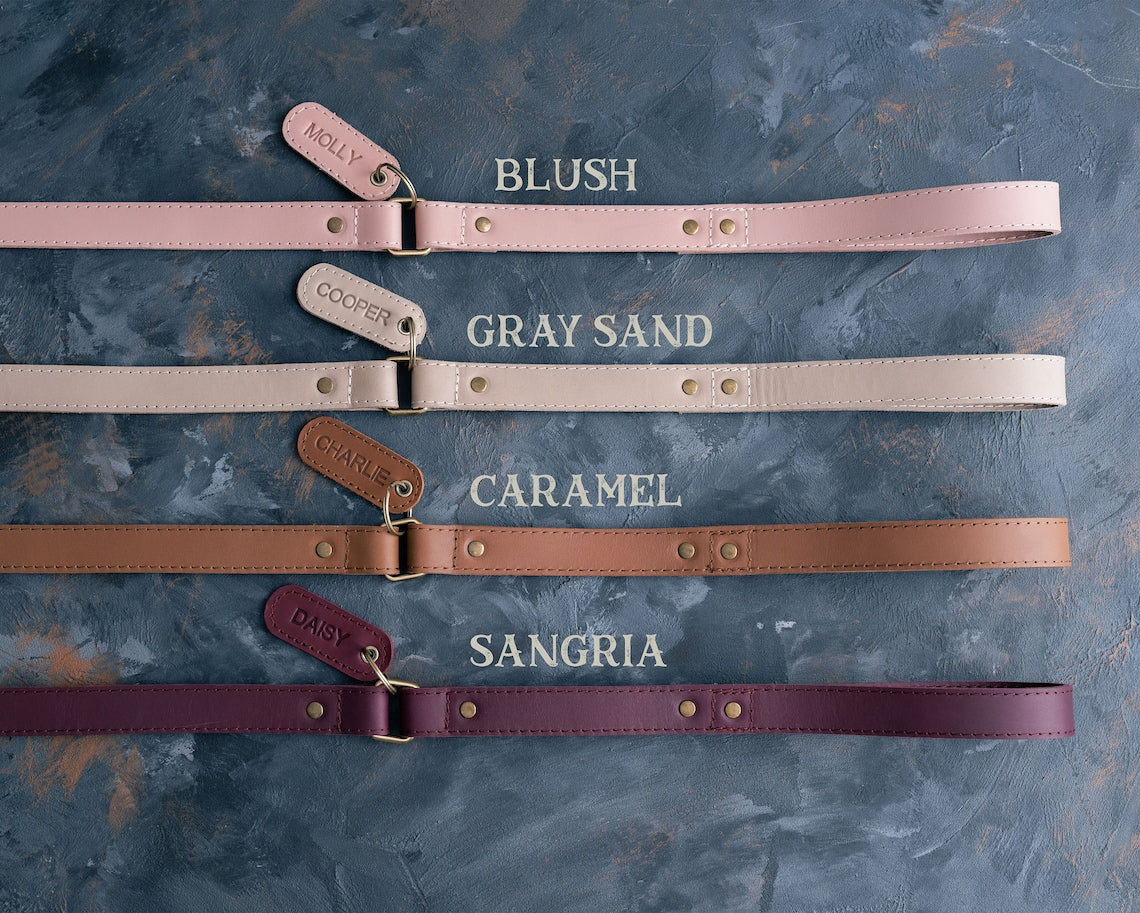 Leather Dog Leash