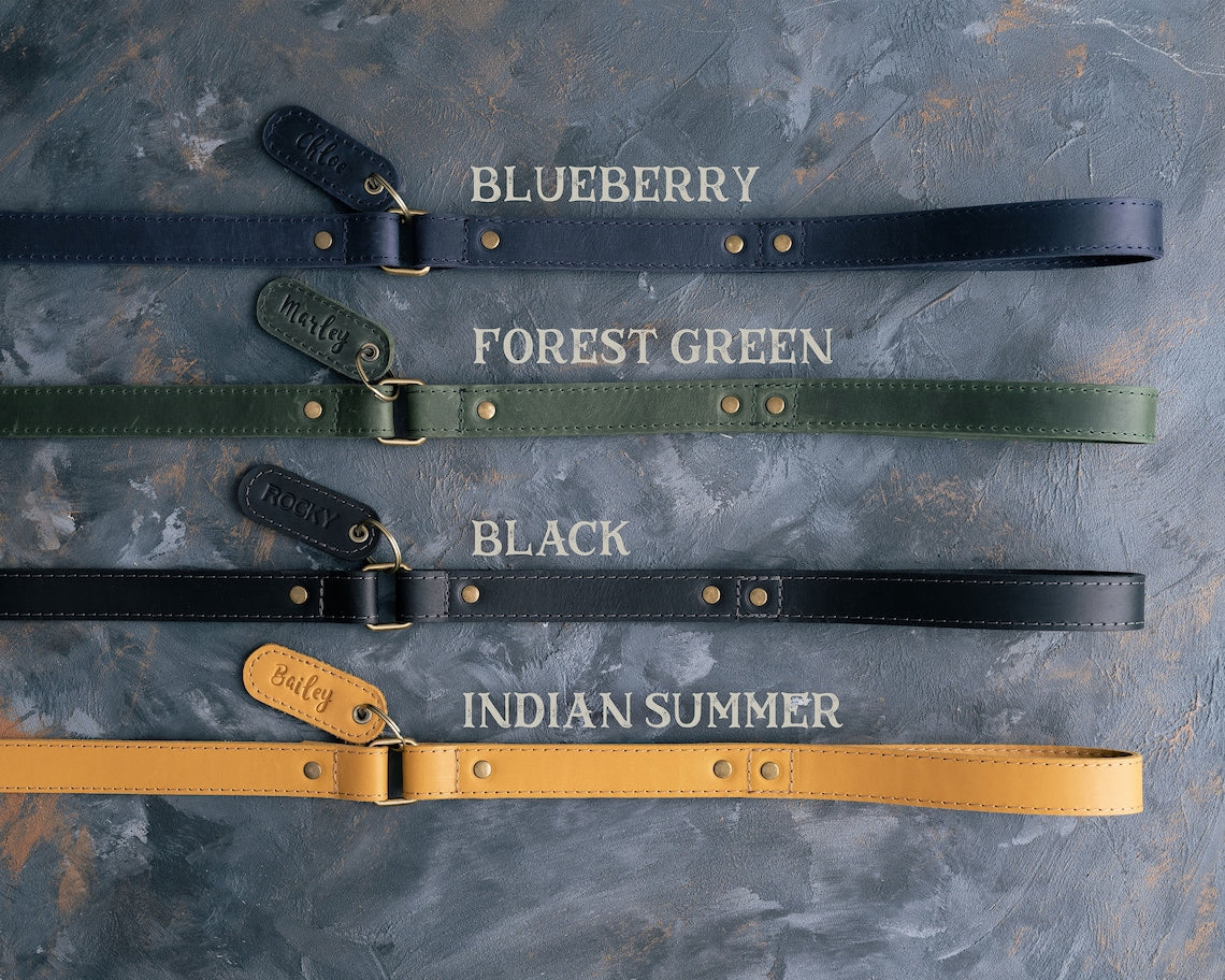 Leather Dog Leash