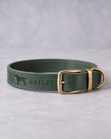 Forest Green leather dog collar with a Labrador retriever silhouette and the name BAILEY debossed, brass pin buckle