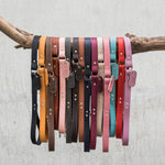 Leather dog leashes in 17 colors hanging from a branch
