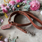 Personalized Arizona leather dog leash with the name Lucy on the tab