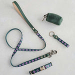 Thin webbing leash in green and lilac with a matching collar, keychain and leather bag holder