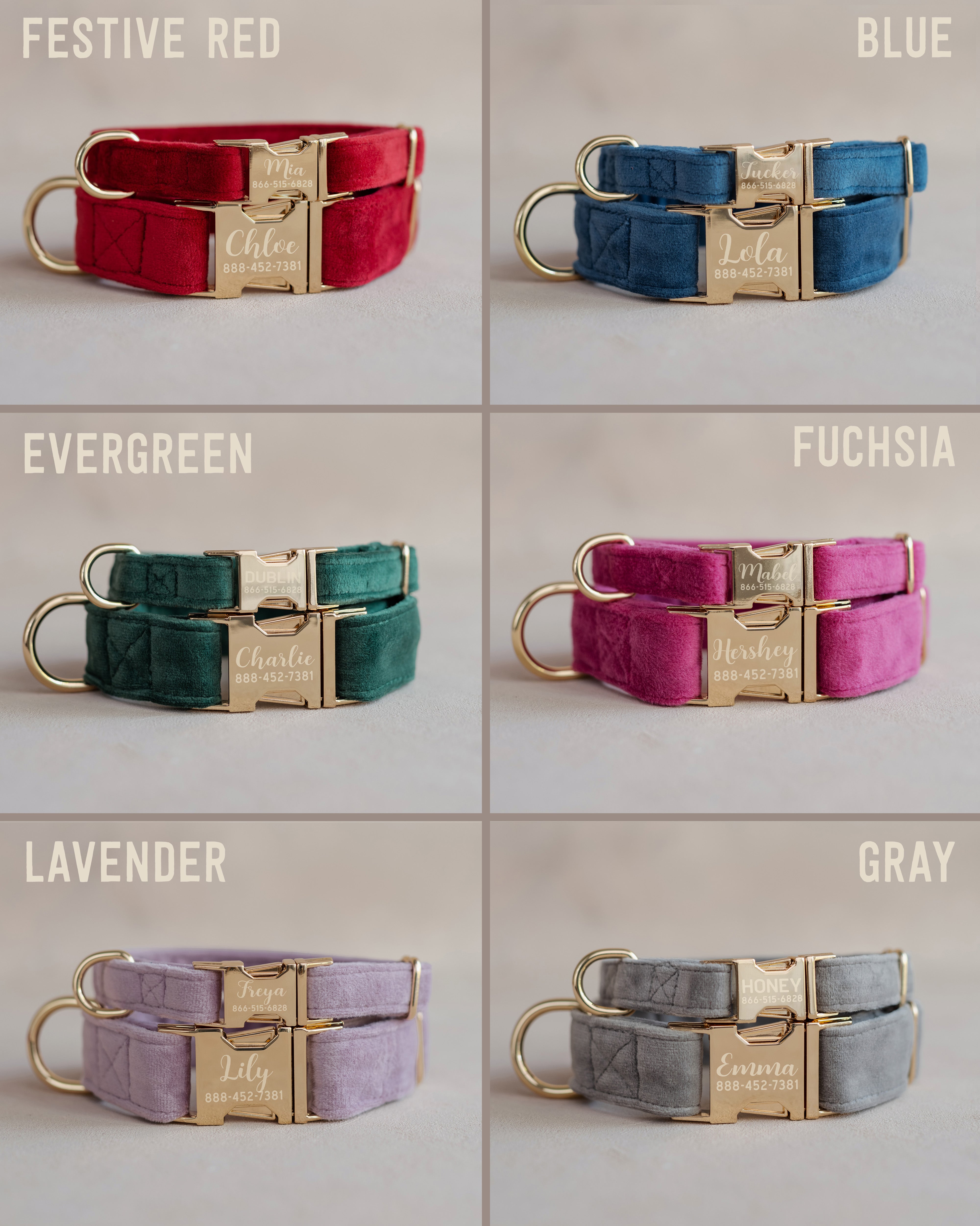 Velvet Dog Collar with fast release buckle