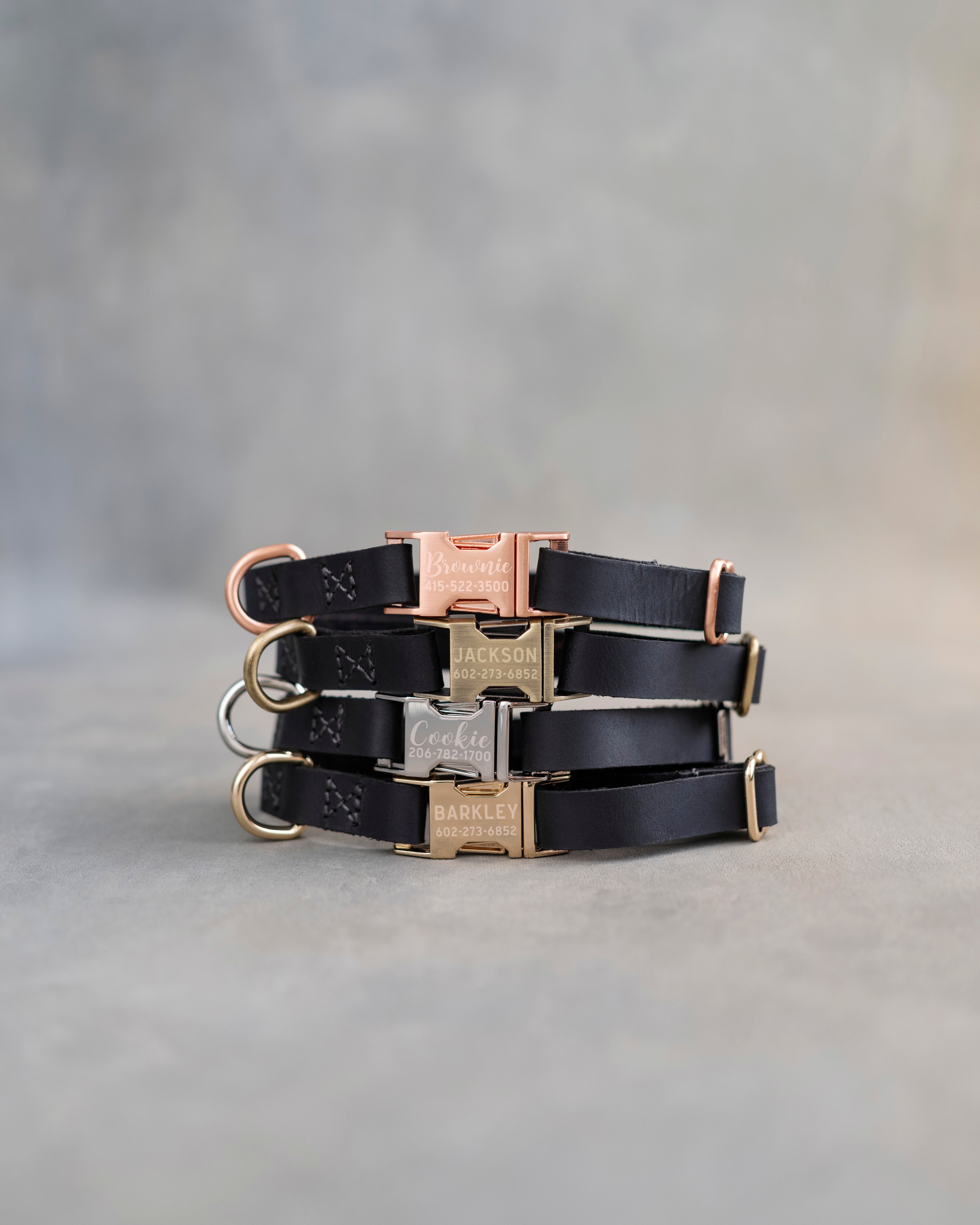 Dog Collar in Black leather with fast release buckle
