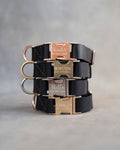 Dog Collar in Black leather with fast release buckle