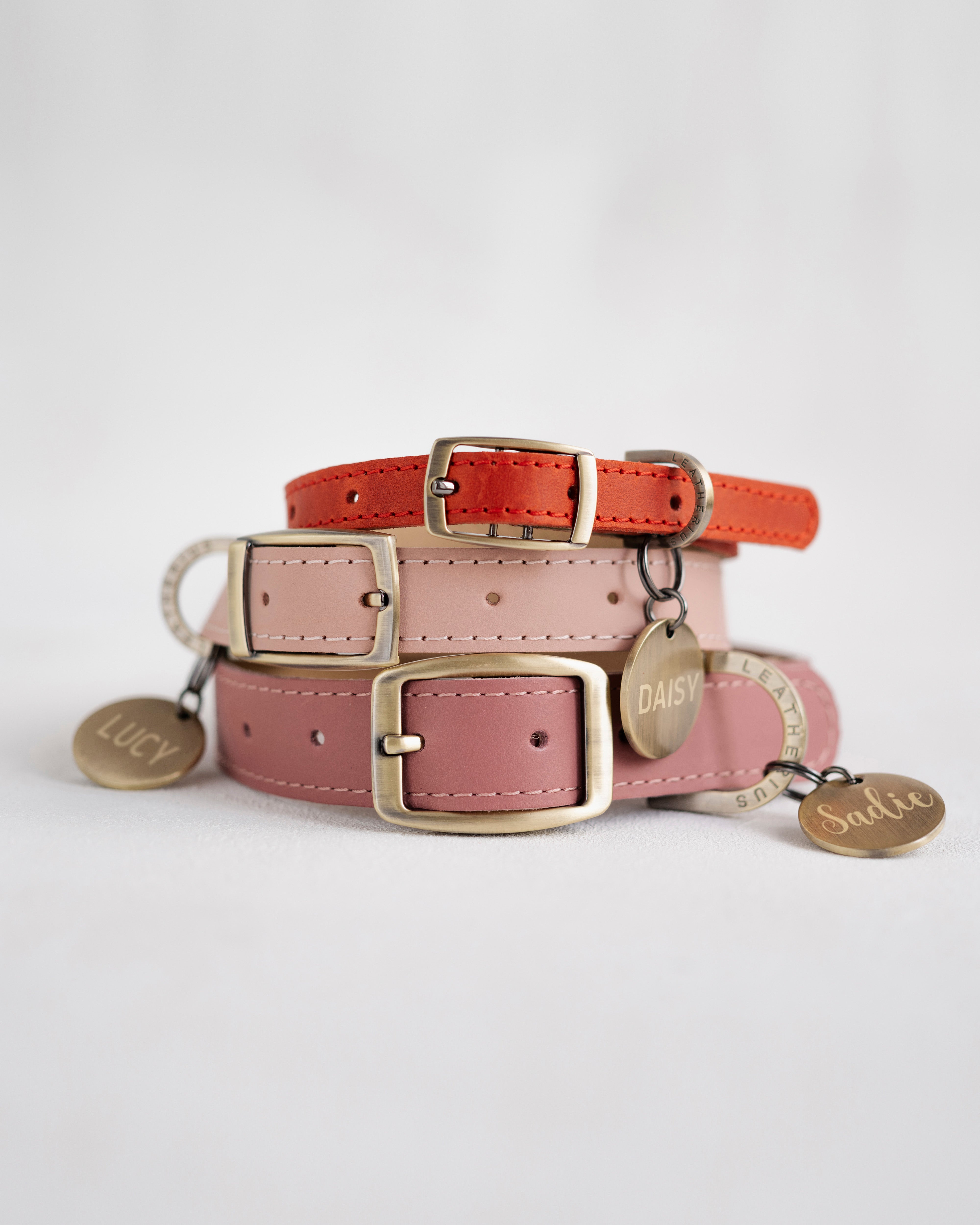 Personalized Leather Dog Collar with classic belt buckle