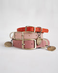 Personalized Leather Dog Collar with classic belt buckle