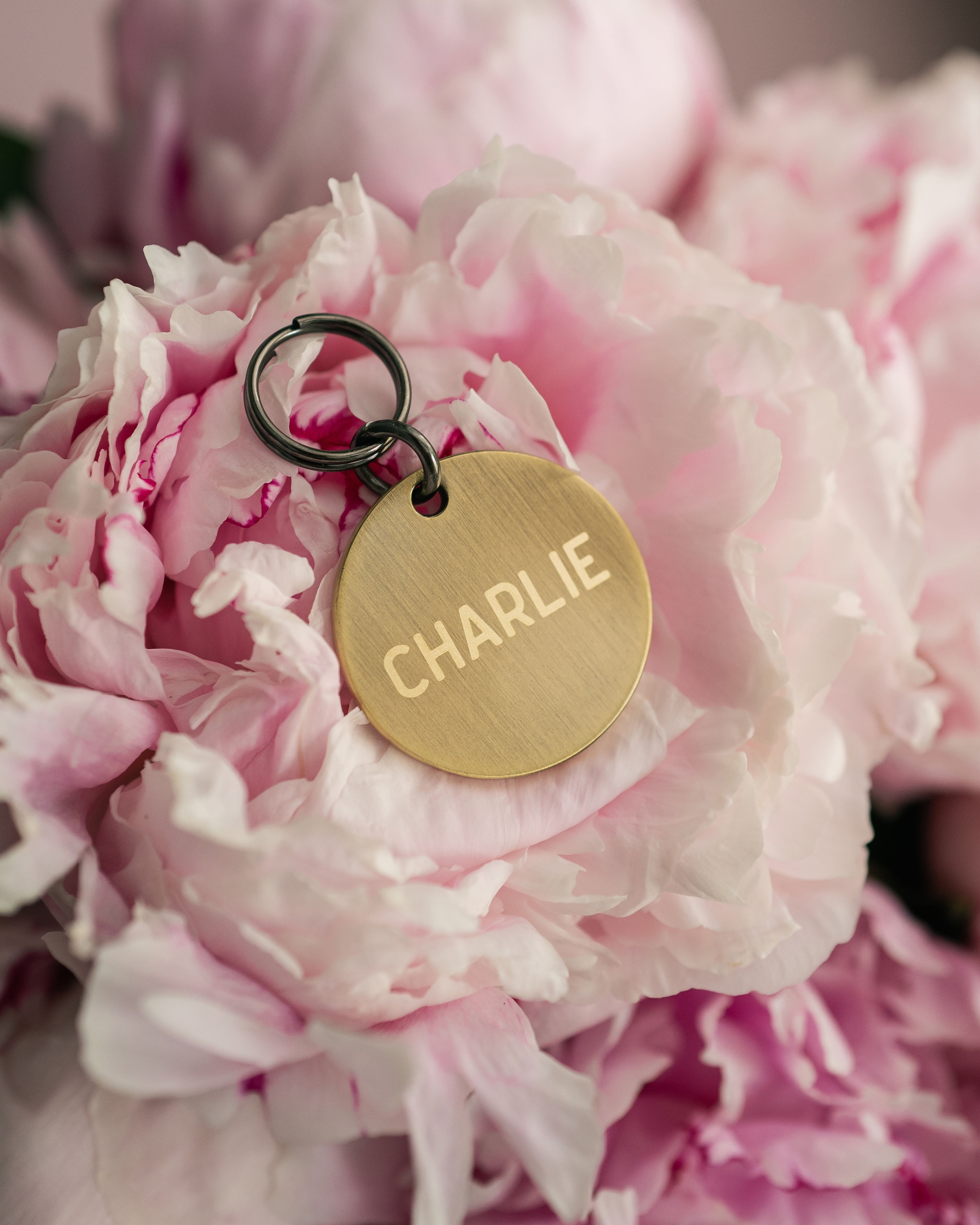 Dog Tag