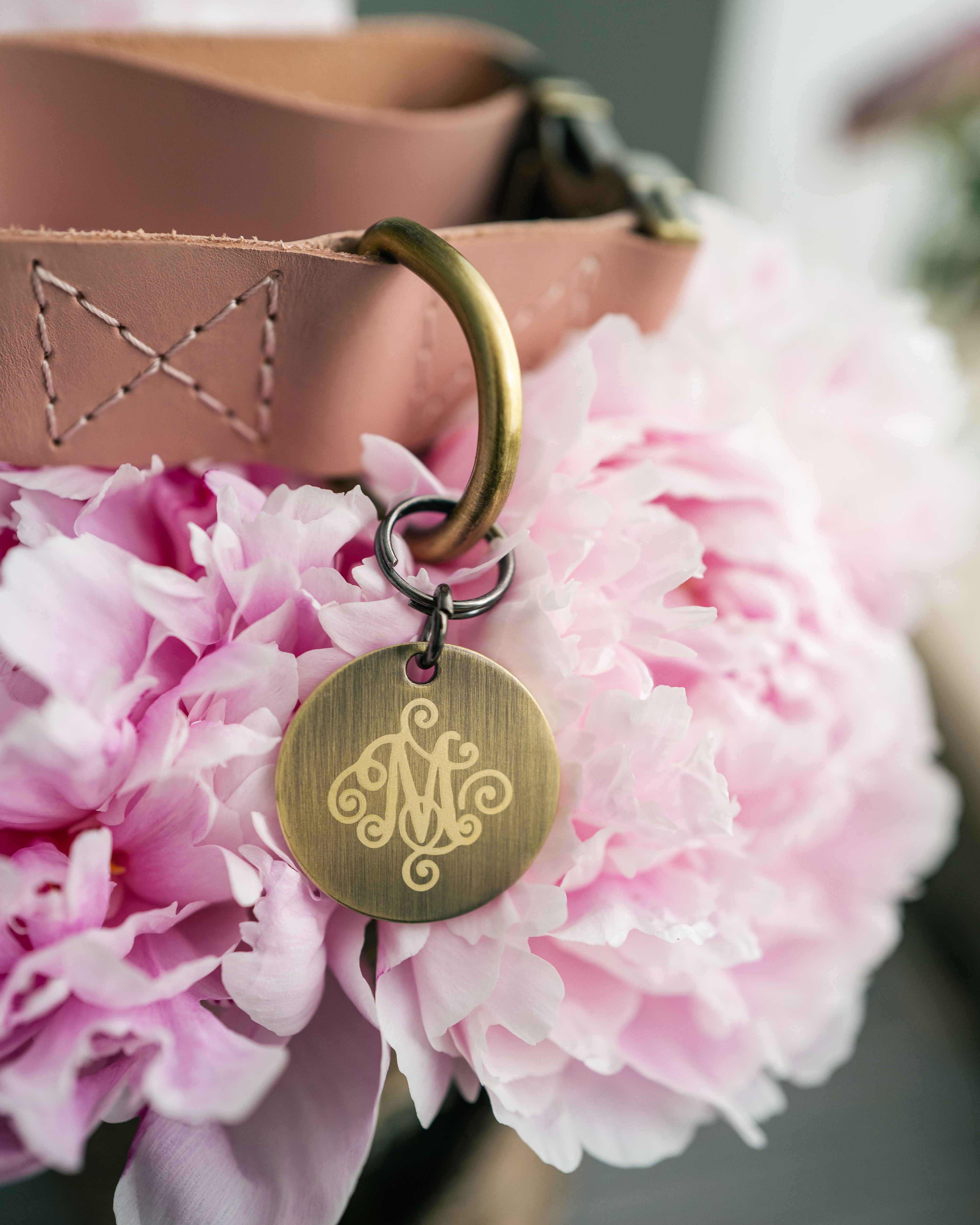 Dog Tag