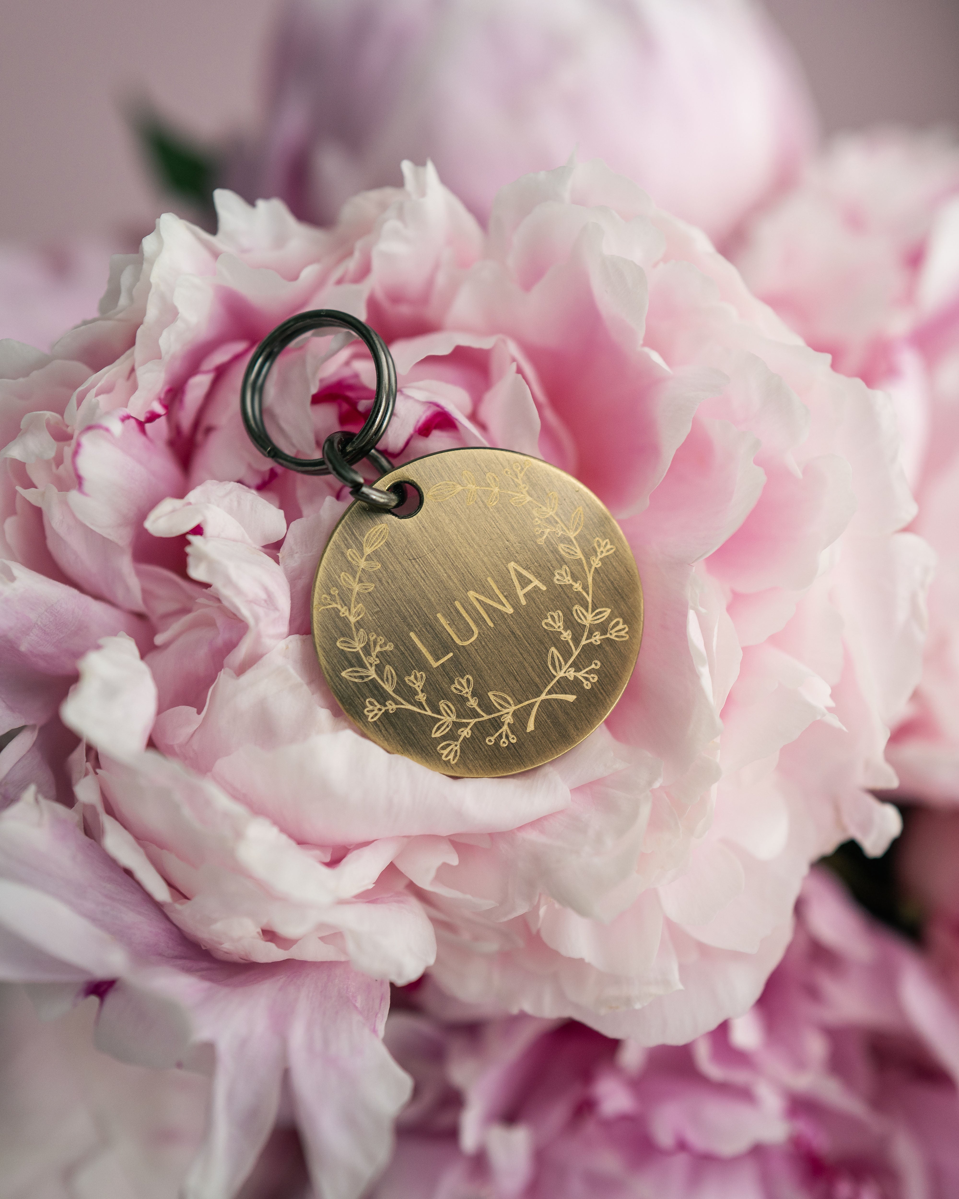 Dog Tag