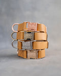 Dog Collar in Indian Summer leather with fast release buckle
