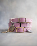 Dog Collar in Lilac leather with classy pin buckle