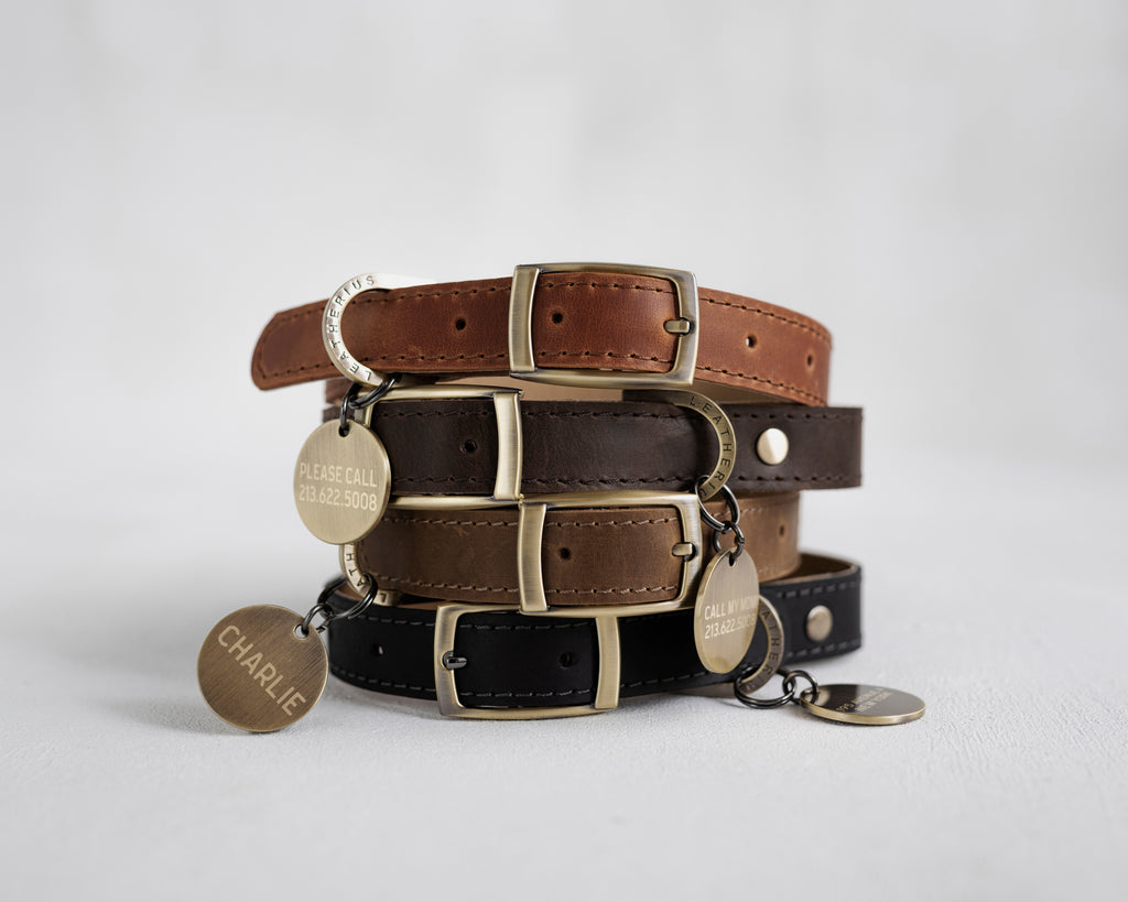 Brown Dog Collars in Premium Leather: Everything You Need to Know