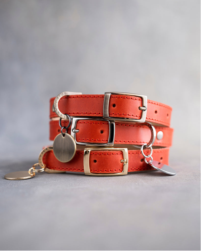 Best Red Leather Dog Collars: Top 7 Picks for Every Size Dog