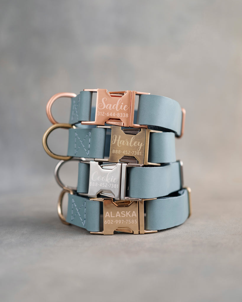 Leather Blue Dog Collar: From Fast-Release Buckle to Custom Tag