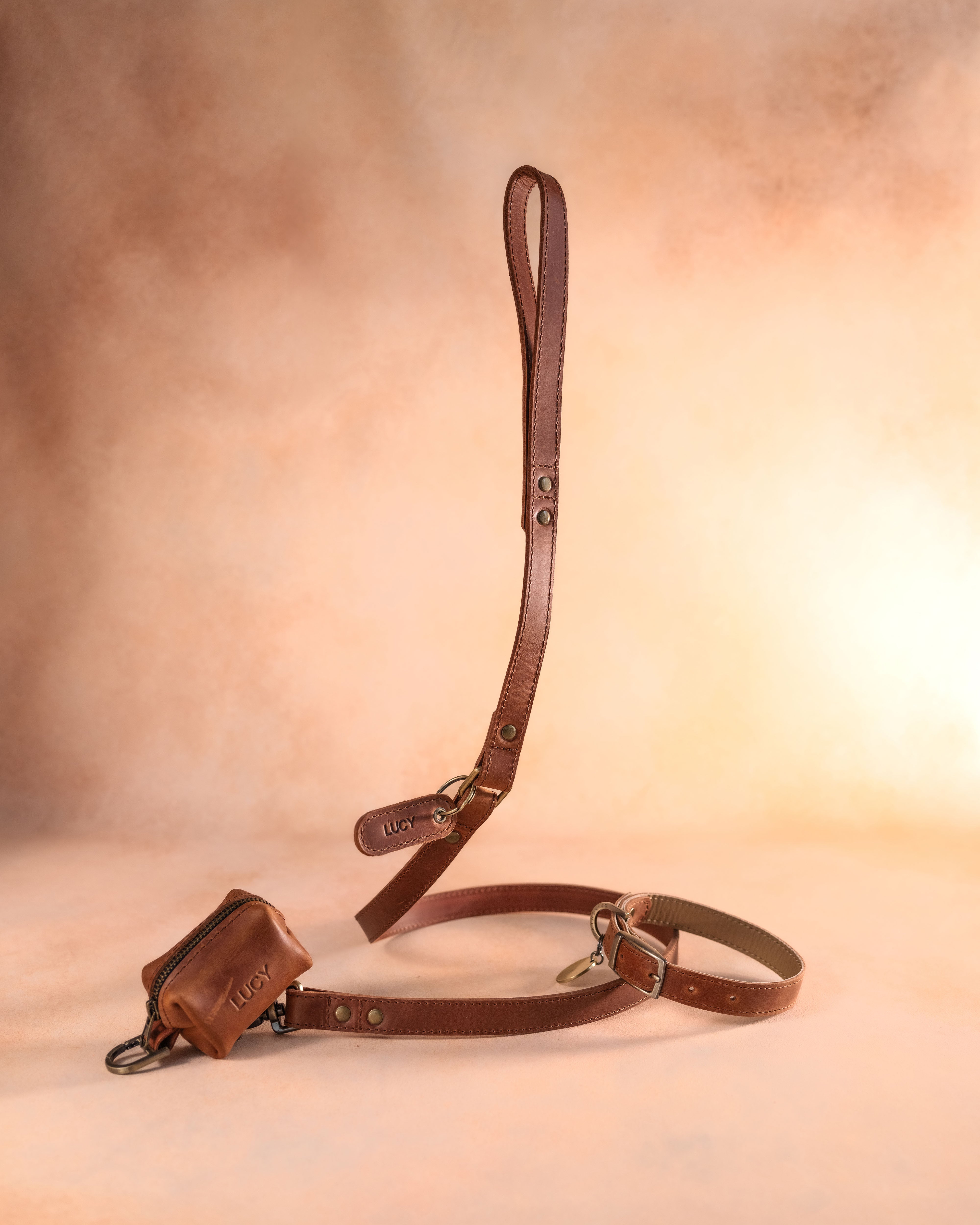 Leather Dog Lead and Collar Sets: How to Choose the Perfect Match for Your Dog