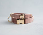 Velvet Dog Collar With Bone-Shaped Buckle