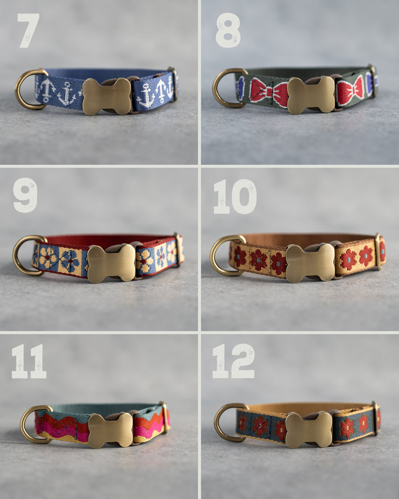 Personalized dog collar