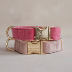 Velvet Dog Collar with fast release buckle