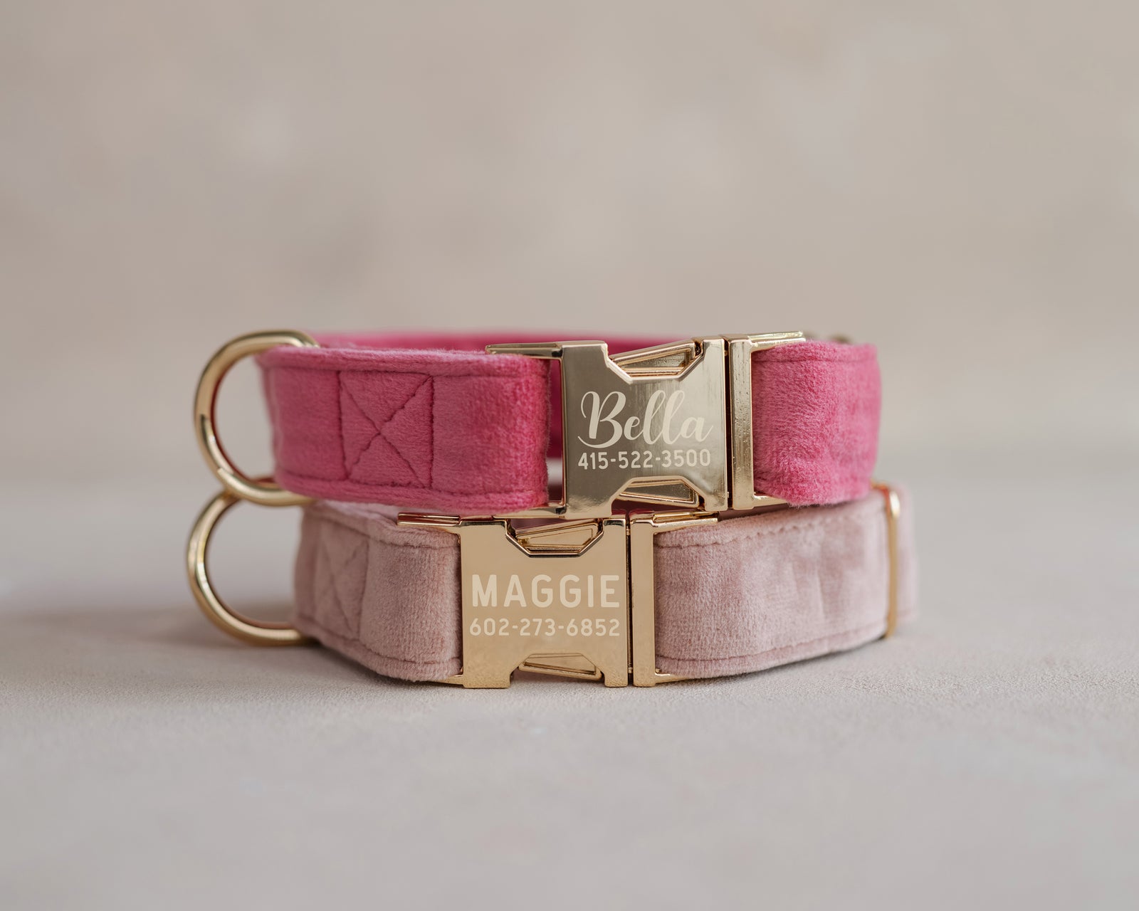 Velvet Dog Collar with fast release buckle