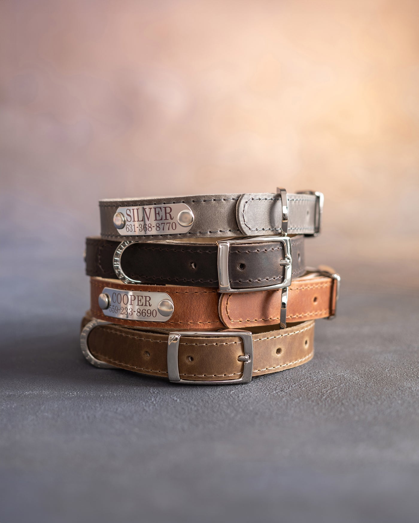 Dog collar with a name plate