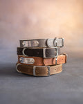 Dog collar with a name plate