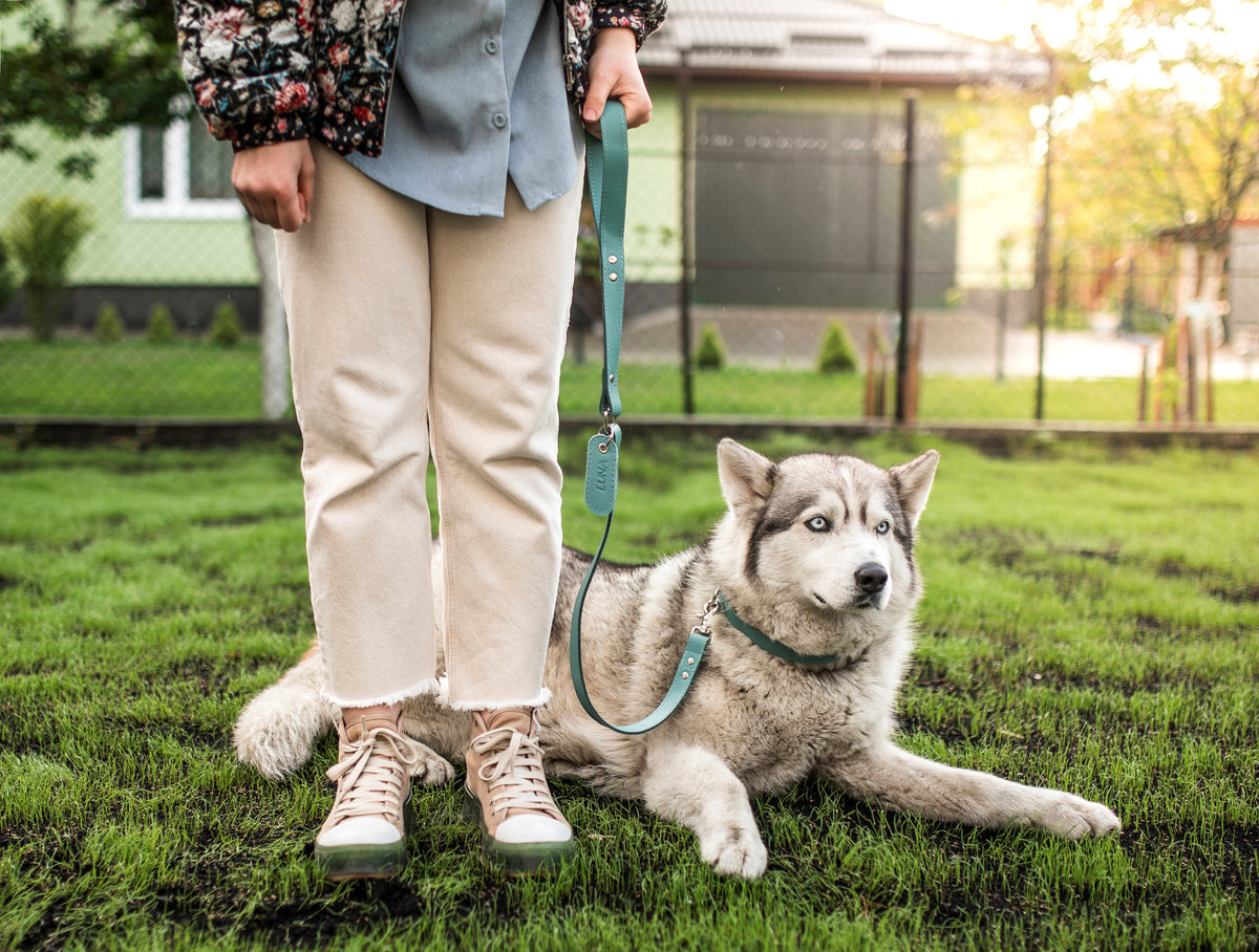 Personalized Leather Dog Leash with engraved initials