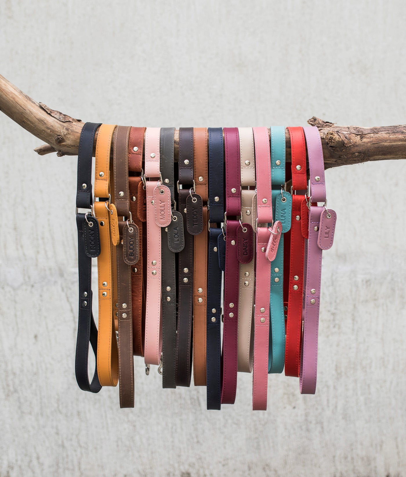 Personalized Leather Dog Leash
