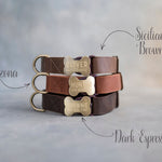 Personalized leather dog collar