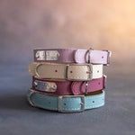 Dog collar with a name plate