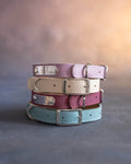 Dog collar with a name plate